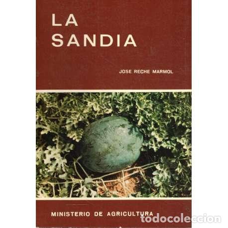 Libros: La sand&iacute;a - Jos&eacute; Reche Marmol - Foto 1