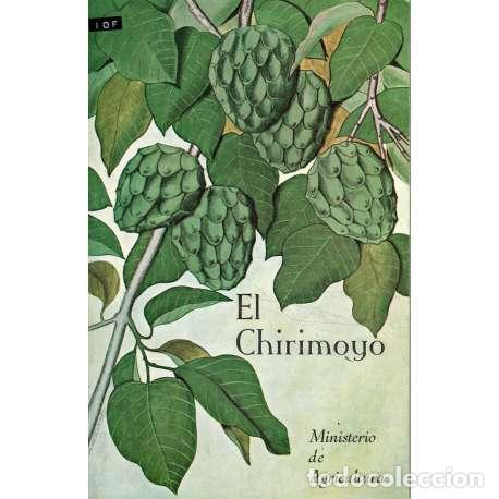 Libros: El Chirimoyo - Miguel Cervantes G&oacute;mez - Foto 1