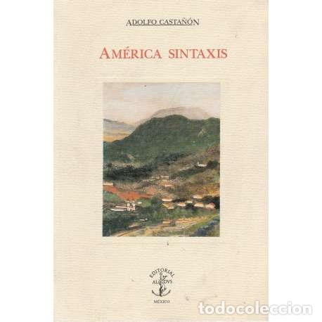 Libros: Am&eacute;rica sintaxis - Adolfo Casta&ntilde;&oacute;n - Foto 1