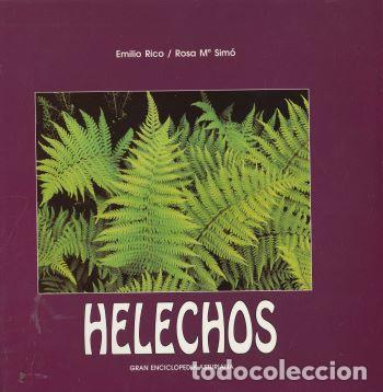 Libros: Helechos - Emilio Rico / Rosa M&ordf; Sim&oacute; - Foto 1