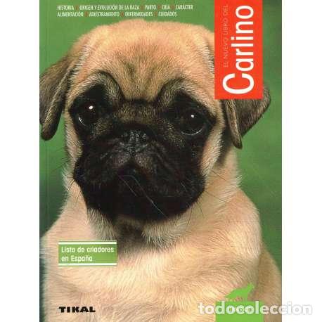Libros: El nuevo libro del carlino - Dan Rice - Foto 1