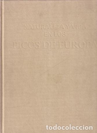 Libros: Naturaleza y vida en los Picos de Europa - VV. AA. - Foto 1