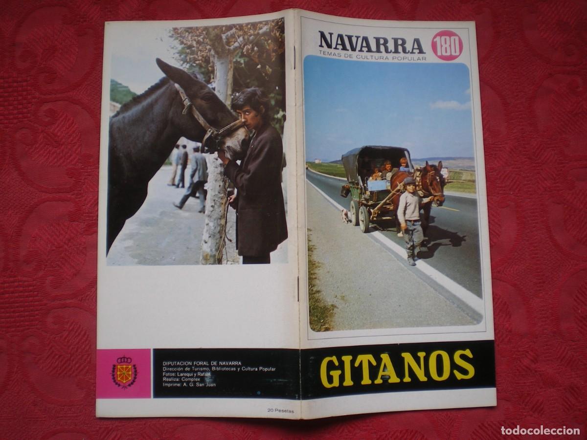 Libros: NAVARRA TEMAS DE CULTURA POPULAR 180. GITANOS.