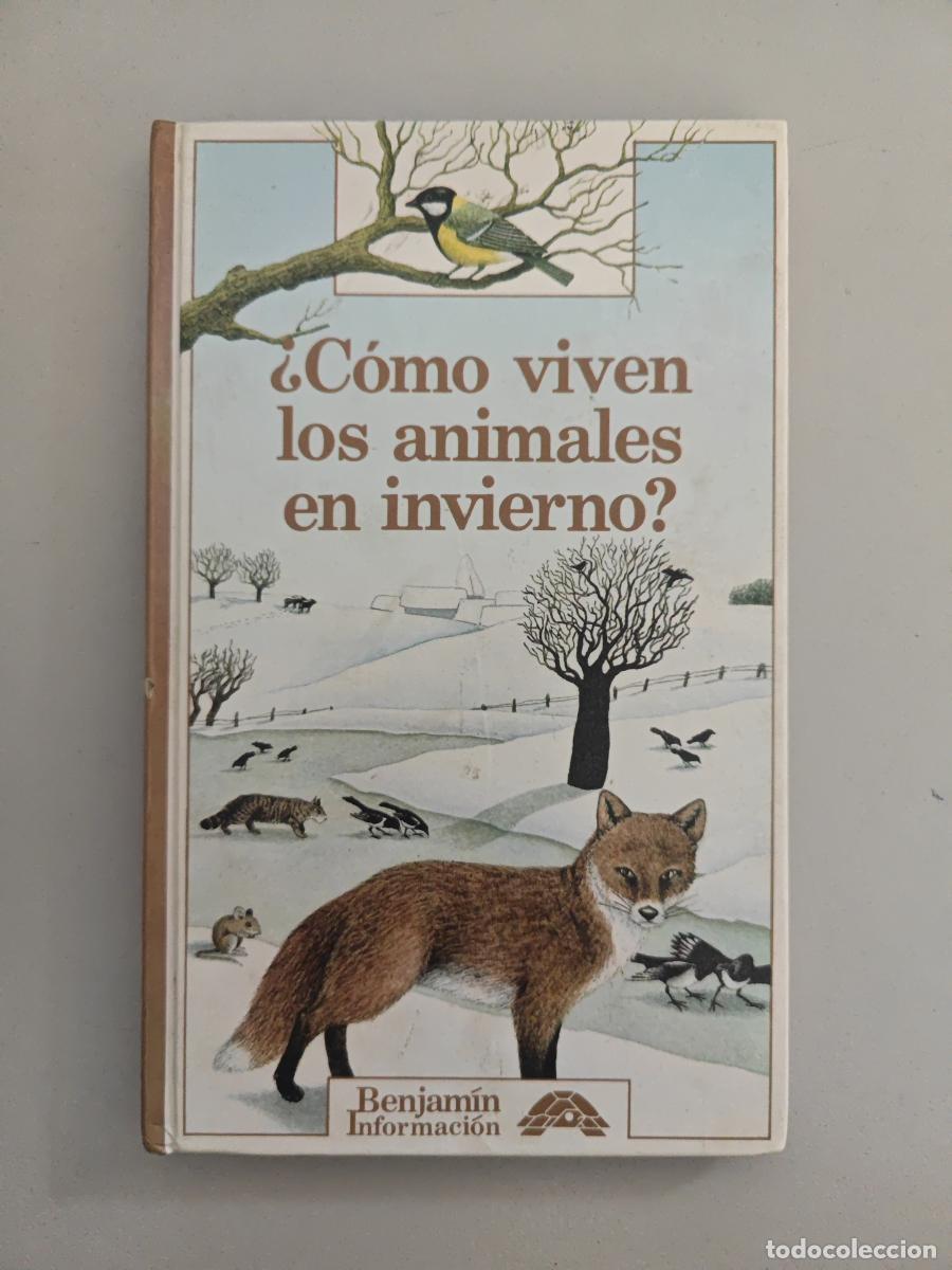 Libri di seconda mano: &iquest;C&oacute;mo viven los animales en invierno?. - Sairign&eacute;, Catherine de. TDK946