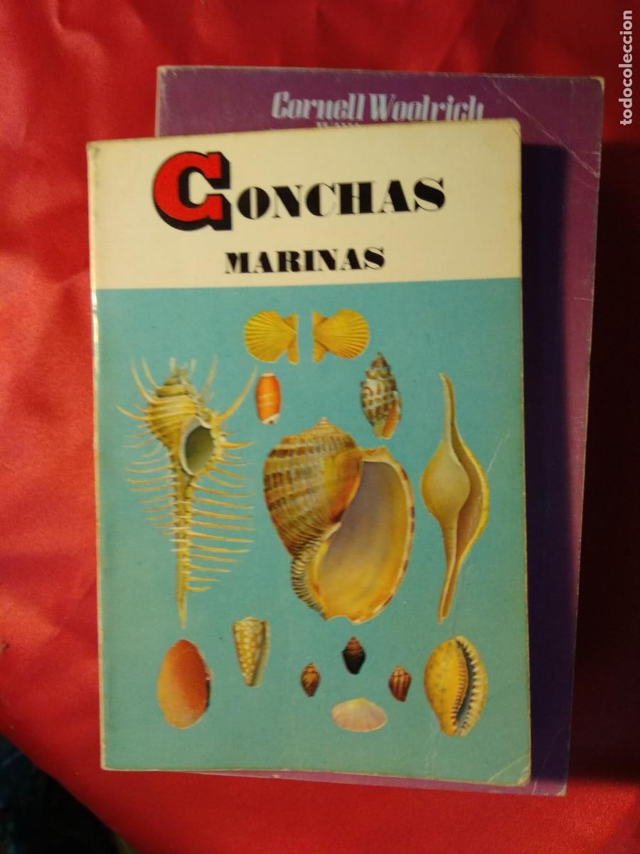 Libros: Conchas marinas Tucker Abbott y H. Zim N.3962