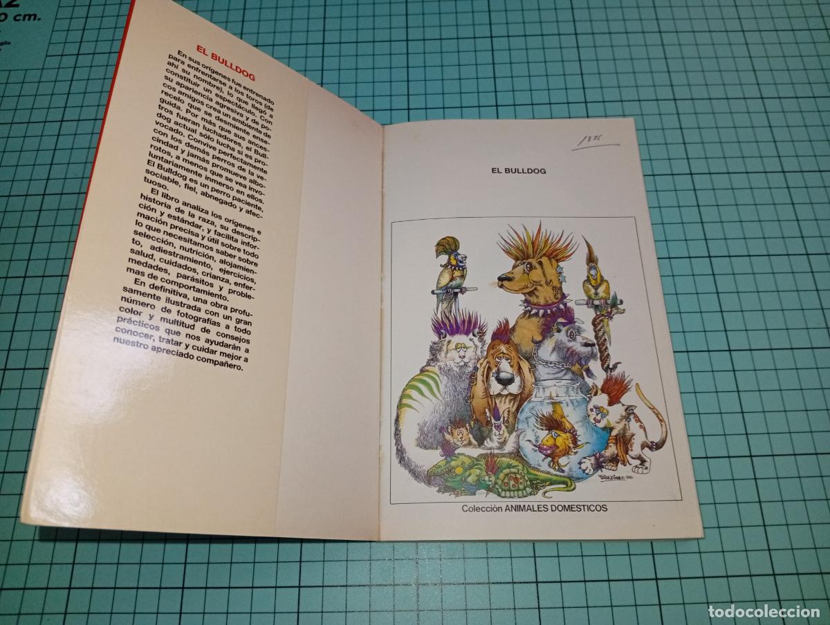 Libros: Libro el Bulldog Gabrielle E. Forbush Hispano Europea - Foto 3