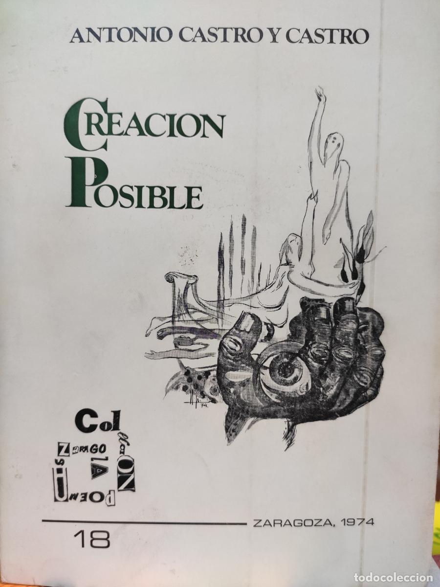 Libros: Creaci&oacute;n Posible - Castro y Castro, Antonio - Foto 1