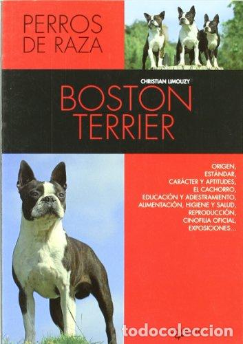 Libros: BOSTON TERRIER - Limouzy,Christian - Foto 1