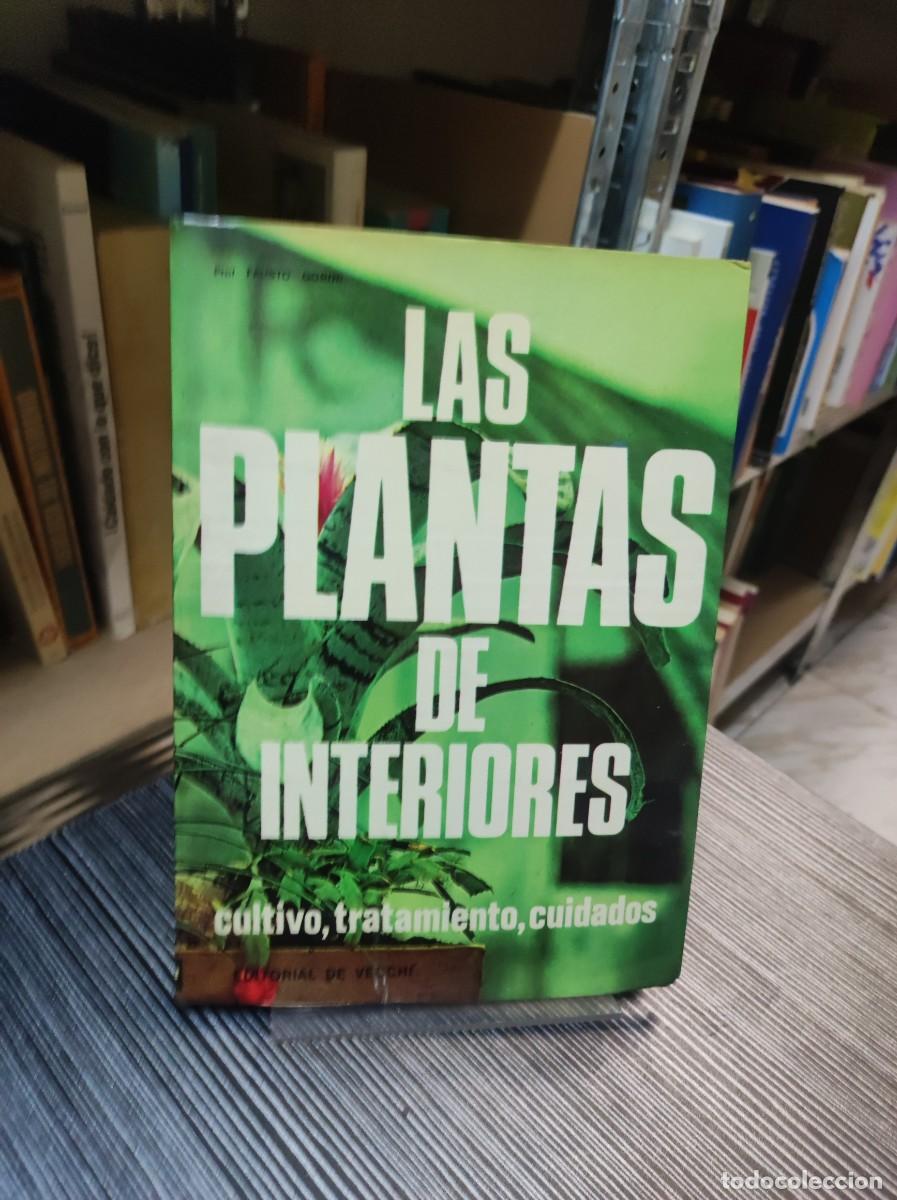 Libros: LAS PLANTAS DE INTERIORES. FAUSTO GORINI - Foto 1