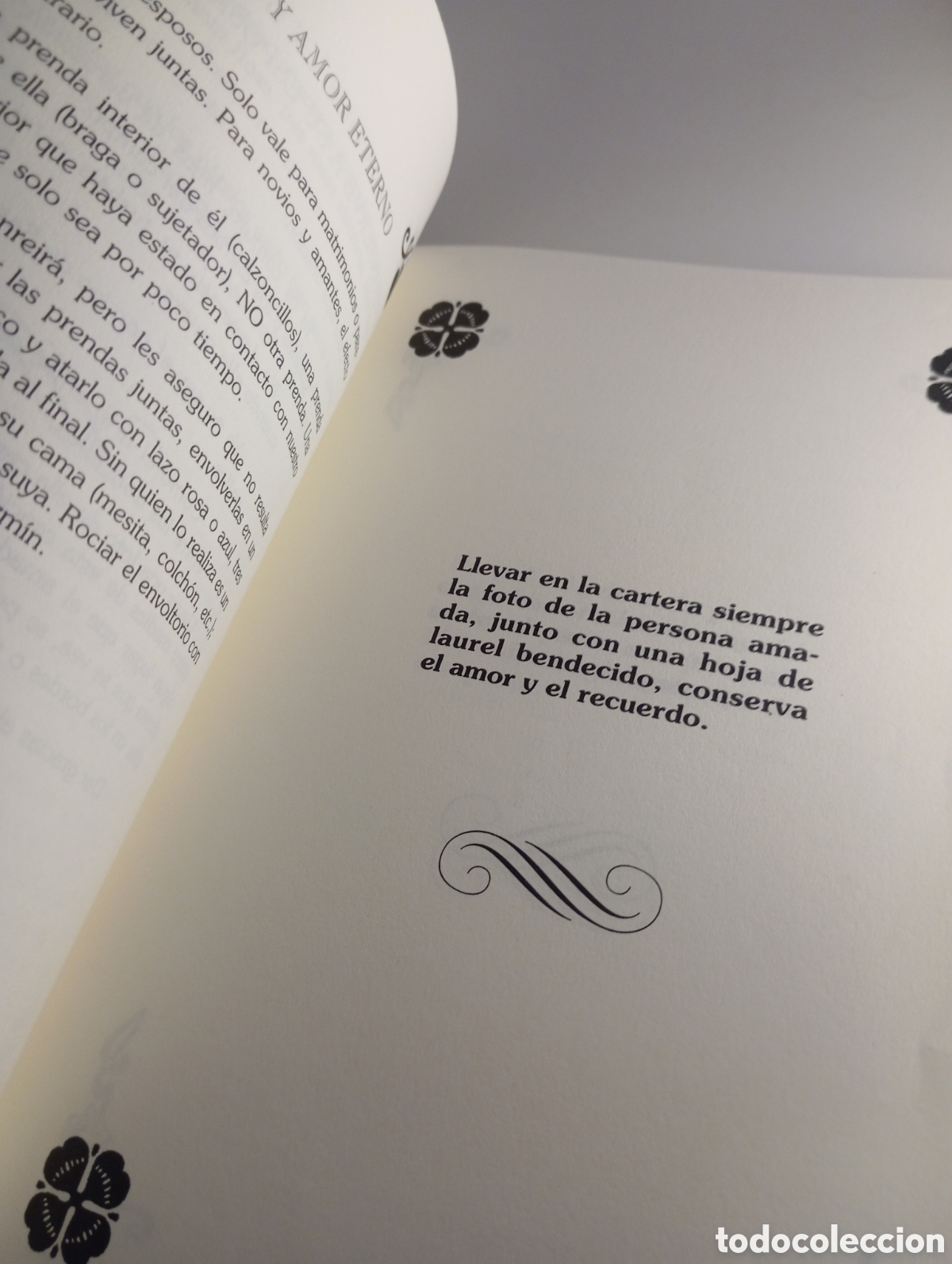 Libros: Brevario de la buena magia. Carmen D&iacute;az - Foto 9