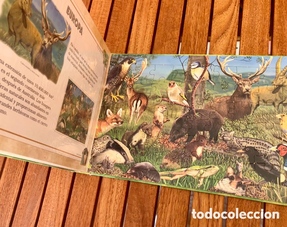 Libros: Libro Puzzle Animales del mundo - Garry Fleming - Foto 8
