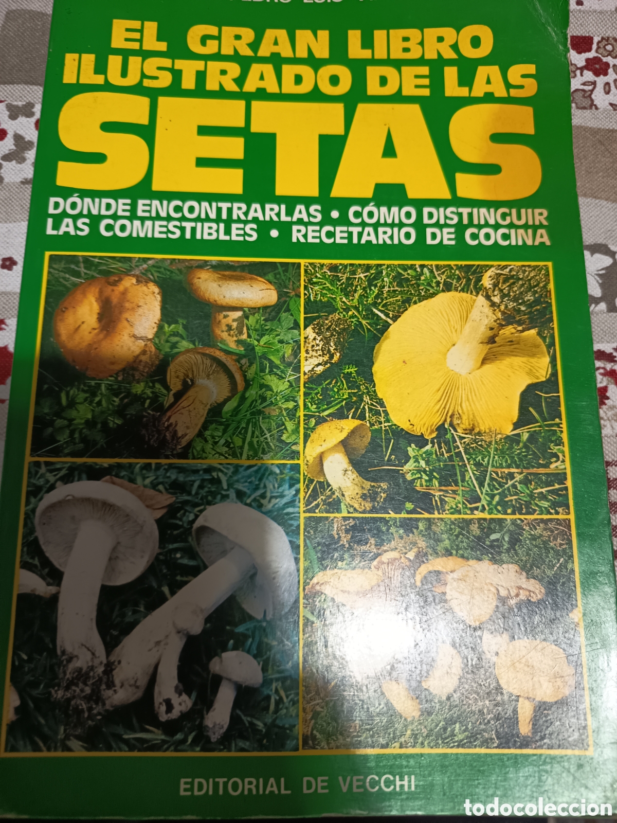 Libri di seconda mano: El gran libro ilustrado de las setas