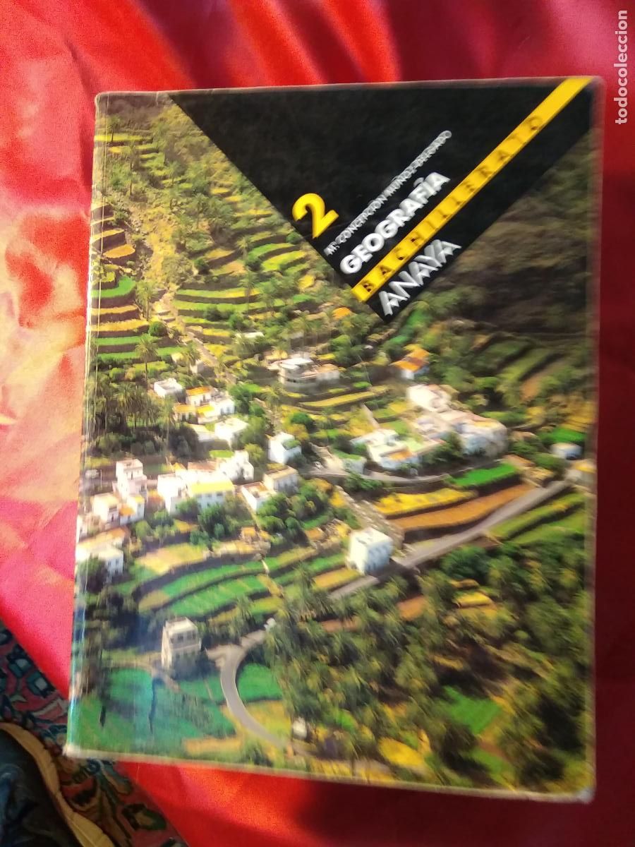 Libri di seconda mano: Geograf&iacute;a bachillerato 2 M&ordf;. Concepci&oacute;n Mu&ntilde;oz-Delgado Q.891