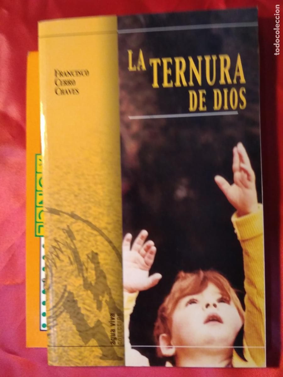 Libros: La Ternura de Dios. Juli&aacute;n del Olmo L.20558-1053 - Foto 1