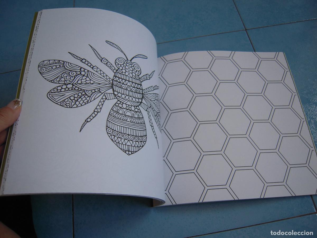 Libros: Las 4 estaciones Mandalas & Color Therapy - Foto 7