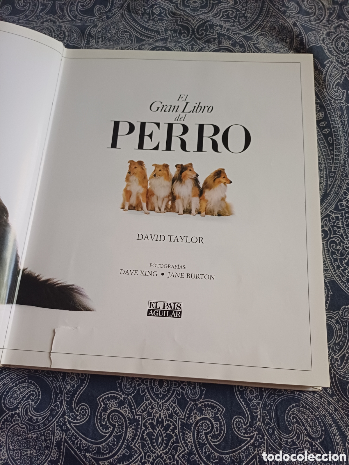 Libros: El gran libro del perro David Taylor - razas anatomia historia - Foto 2