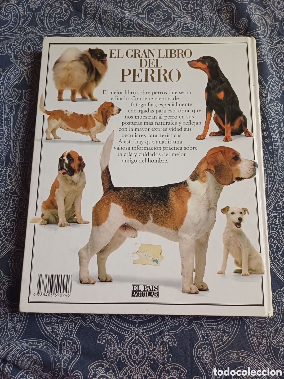 Libros: El gran libro del perro David Taylor - razas anatomia historia - Foto 4
