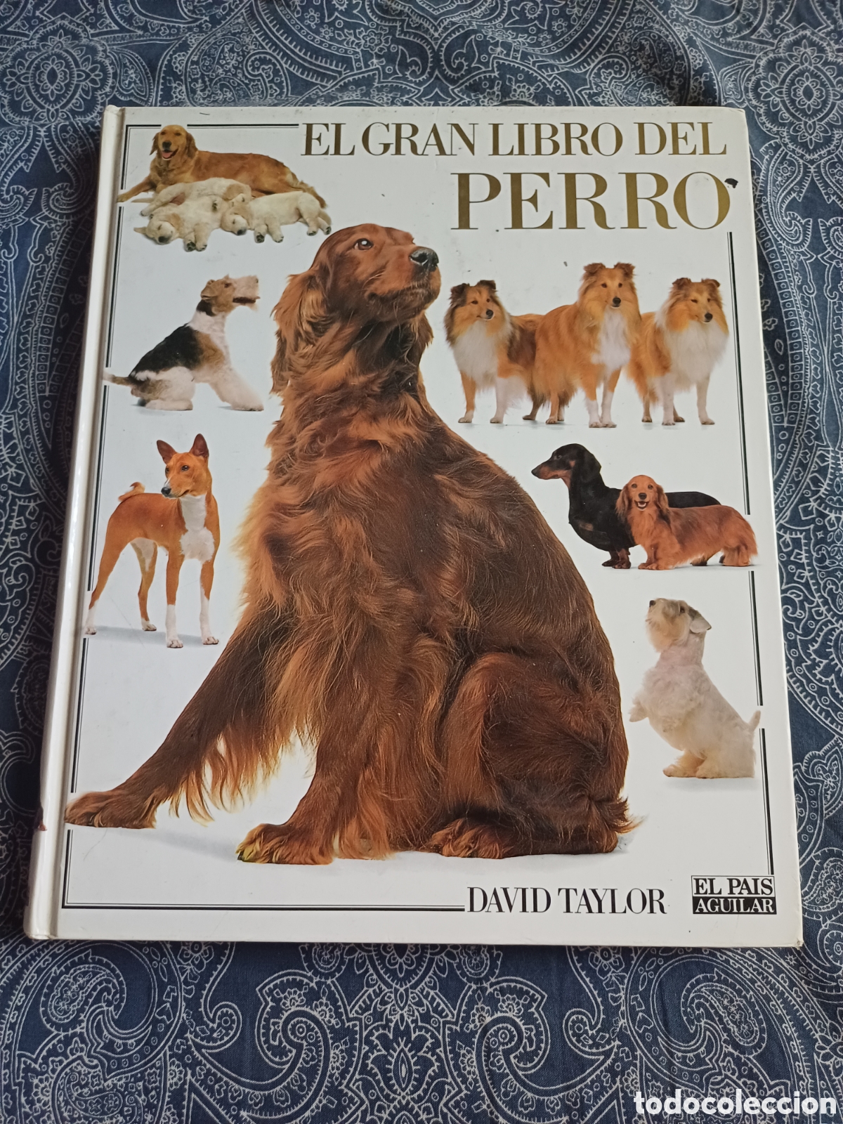 Libros: El gran libro del perro David Taylor - razas anatomia historia - Foto 1