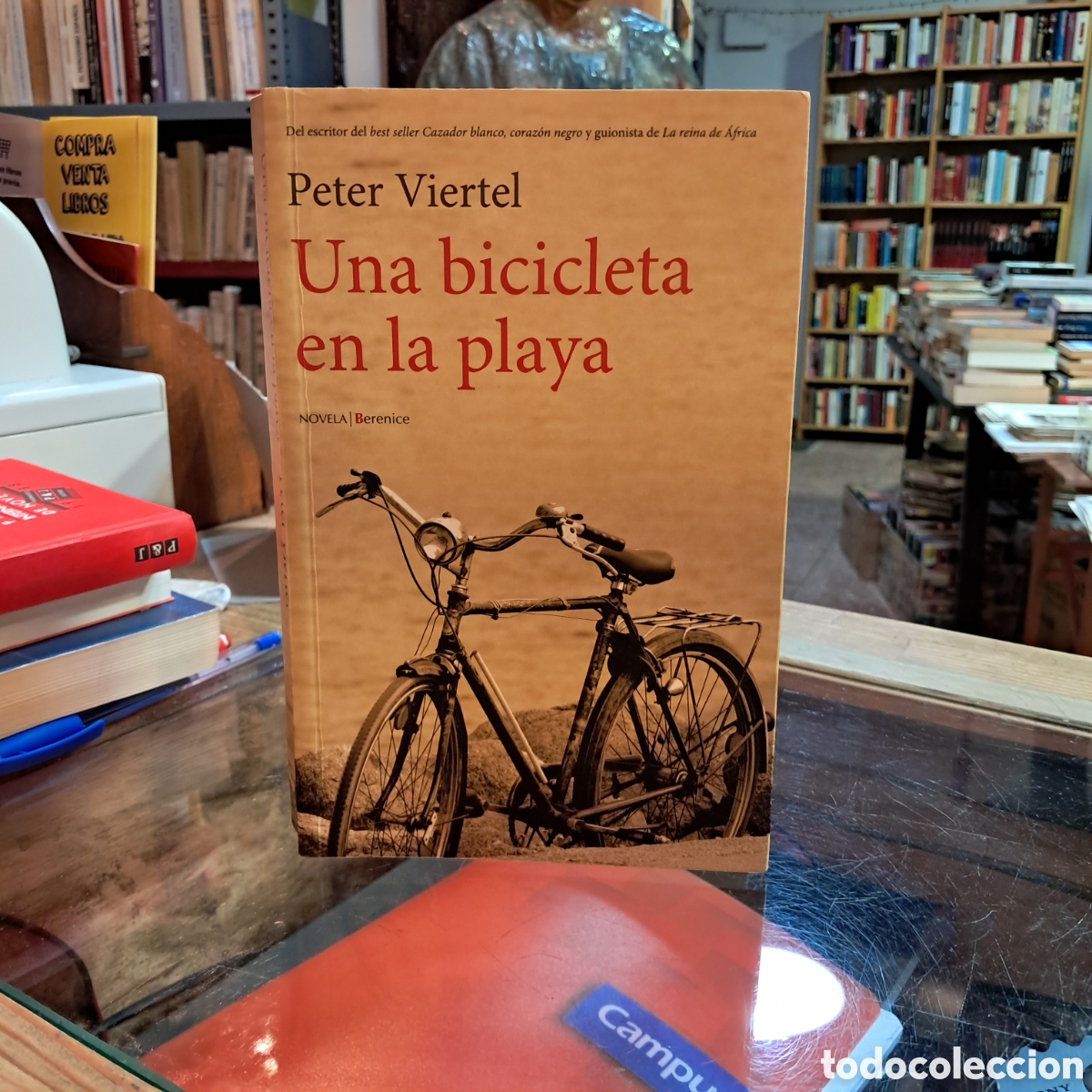 Libros: Peter Viertel, Una bicicleta en la playa, Berenice - Foto 1