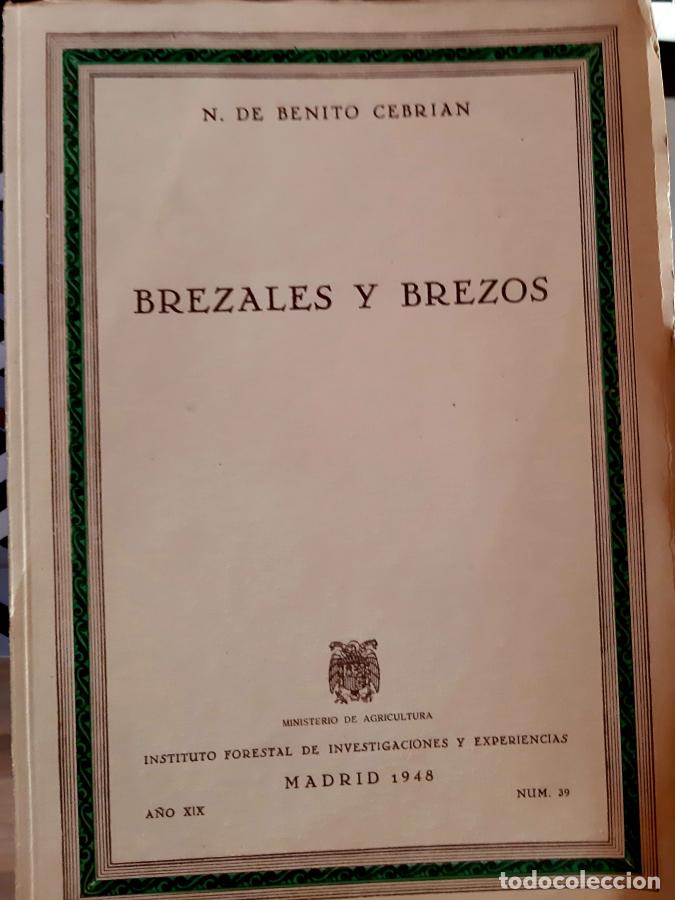 Libri di seconda mano: BREZALES Y BREZOS - N. de Benito Cebri&aacute;n