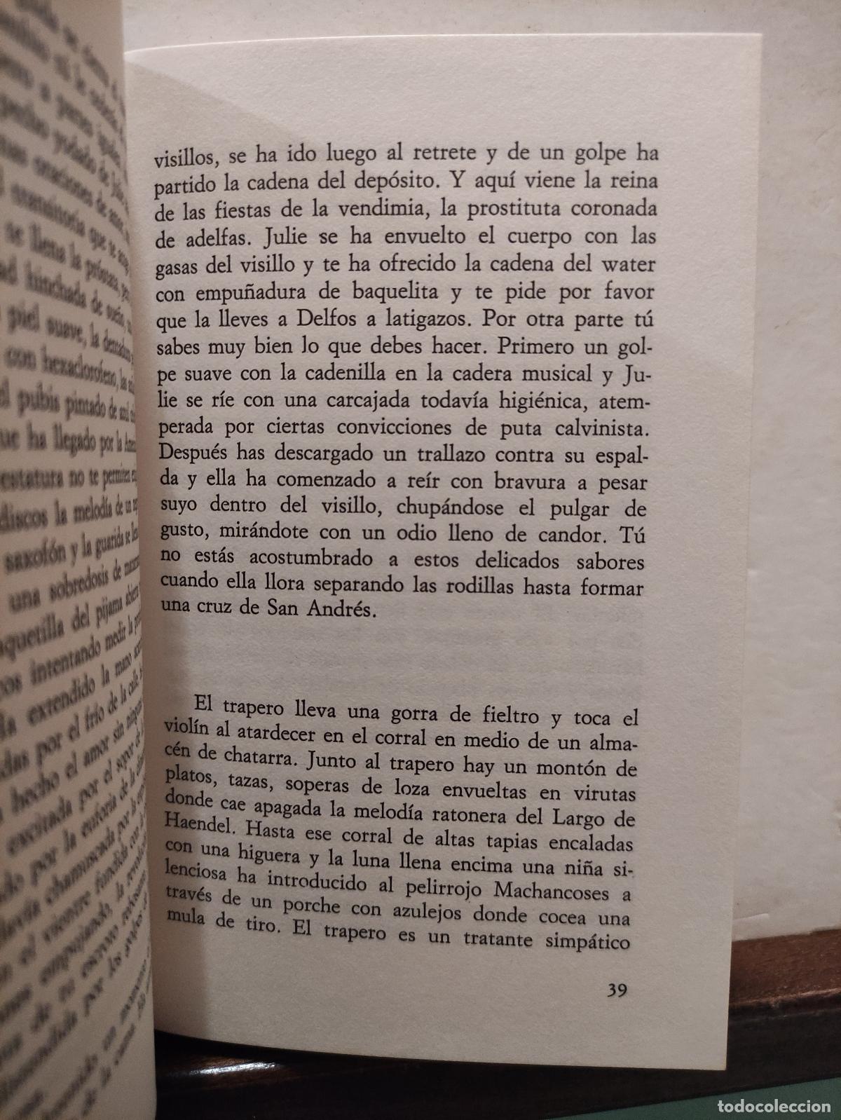 Libros: EL ANARQUISTA CORONADO DE ADELFAS - MANUEL VICENT - Foto 3