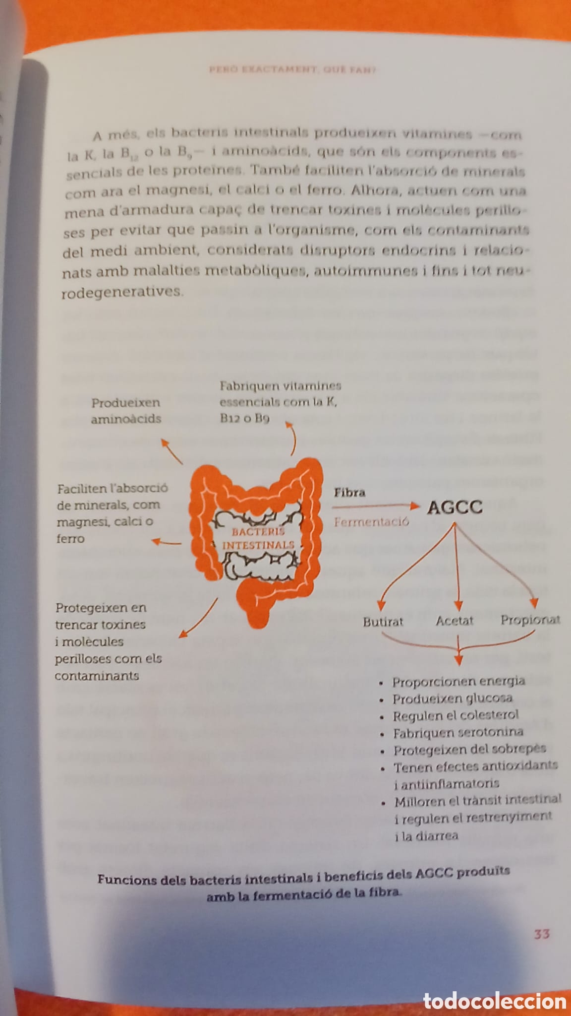 Libros: La ciencia de la Microbiota - Foto 7