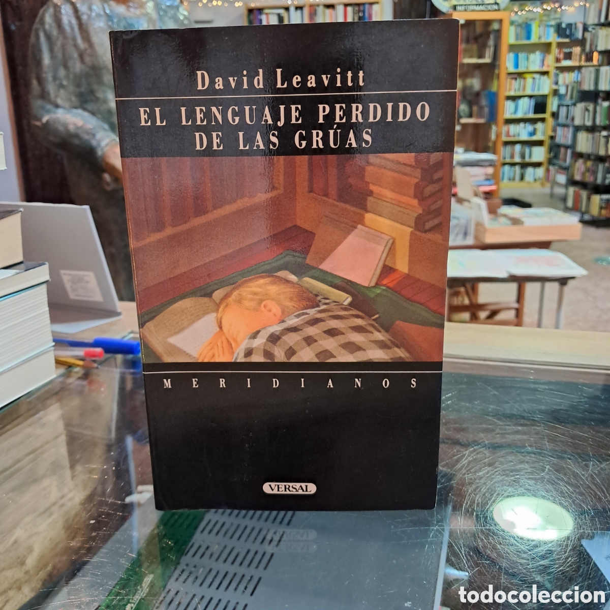 Libros: David Leavitt, El lenguaje perdido de las gruas, Versal - Foto 1