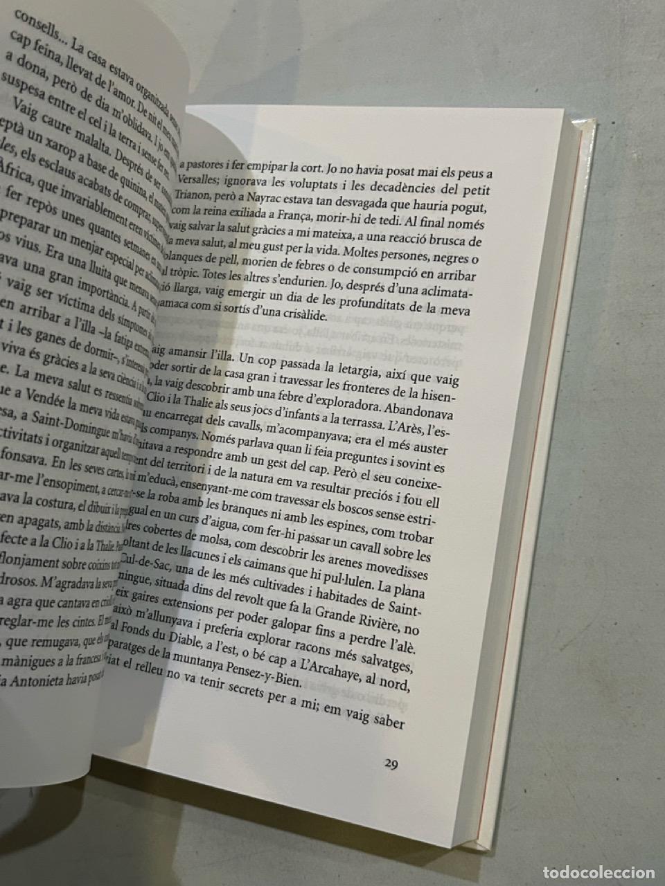 Libros: Dominique Bona - El manuscrit de Port-&Eacute;b&egrave;ne - Foto 2