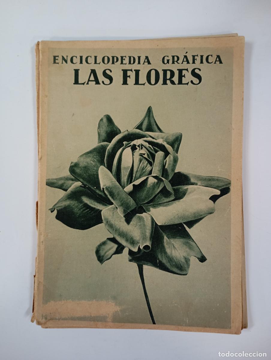 Libros: LAS FLORES. ENCICLOPEDIA PR&Aacute;CTICA. - NICASIO OLIV&Aacute;N. TDK678 - Foto 1