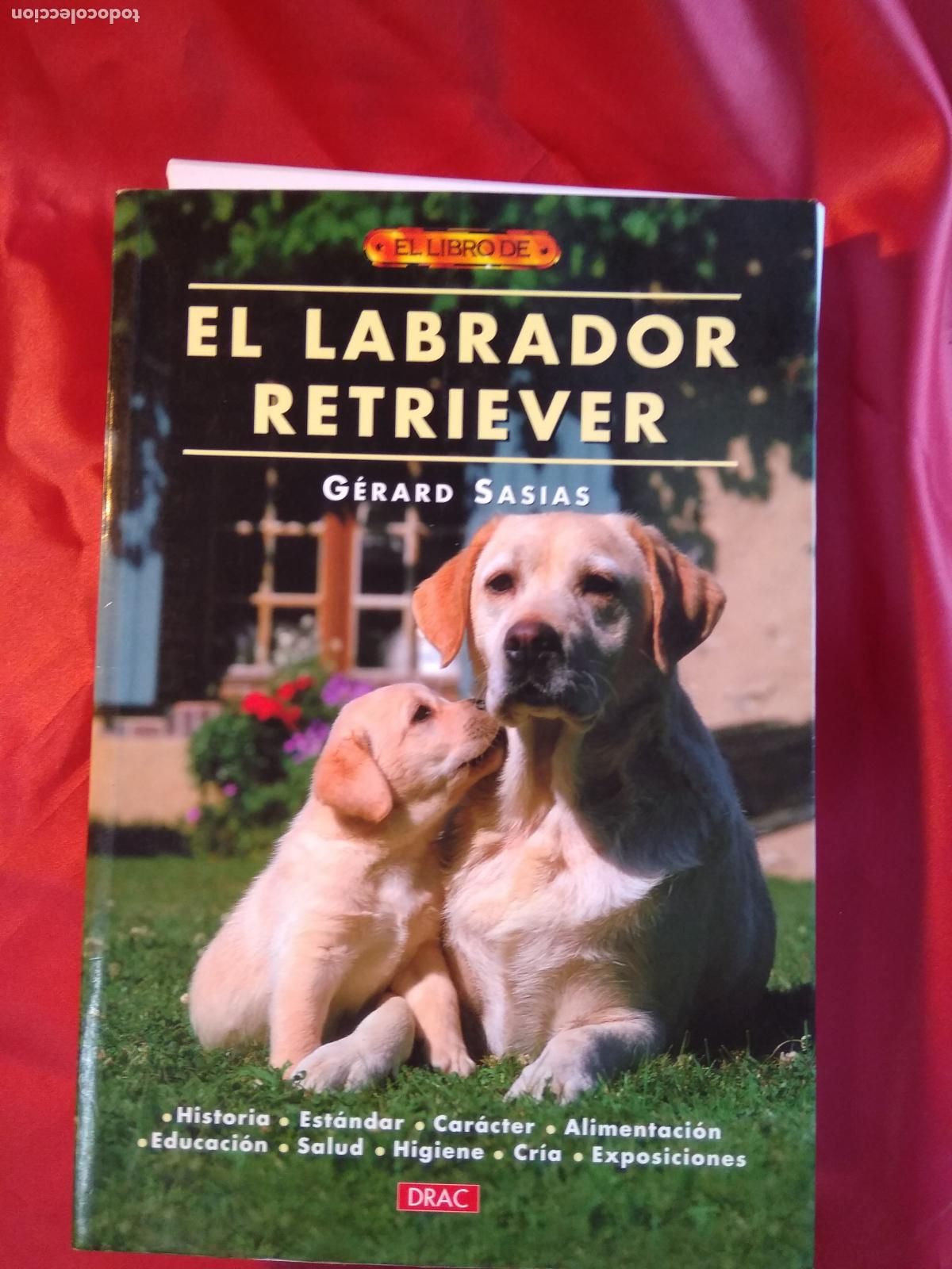 Libri di seconda mano: El labrador retriever. G&eacute;rard Sasias L.9601-1981