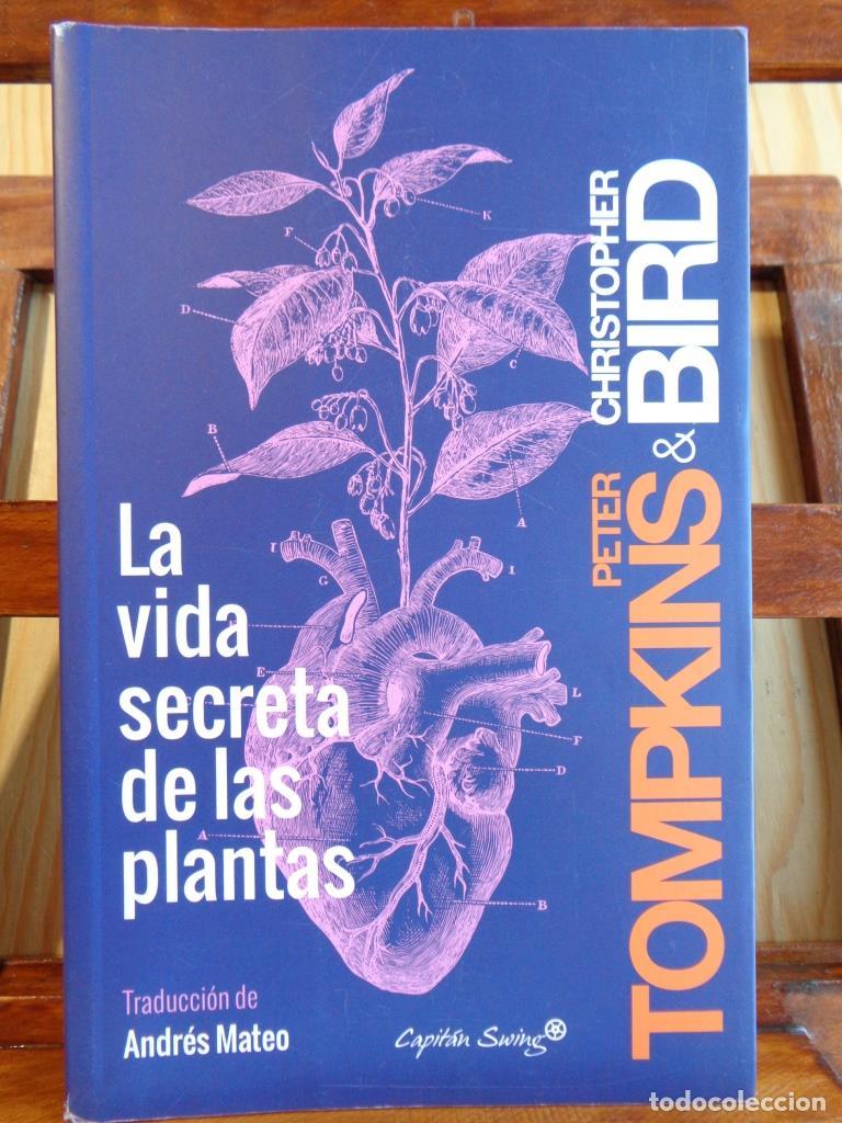 Libros: LA VIDA SECRETA DE LAS PLANTAS - PETER TOMPKINS / CHRISTOPHER BIRD - Foto 1