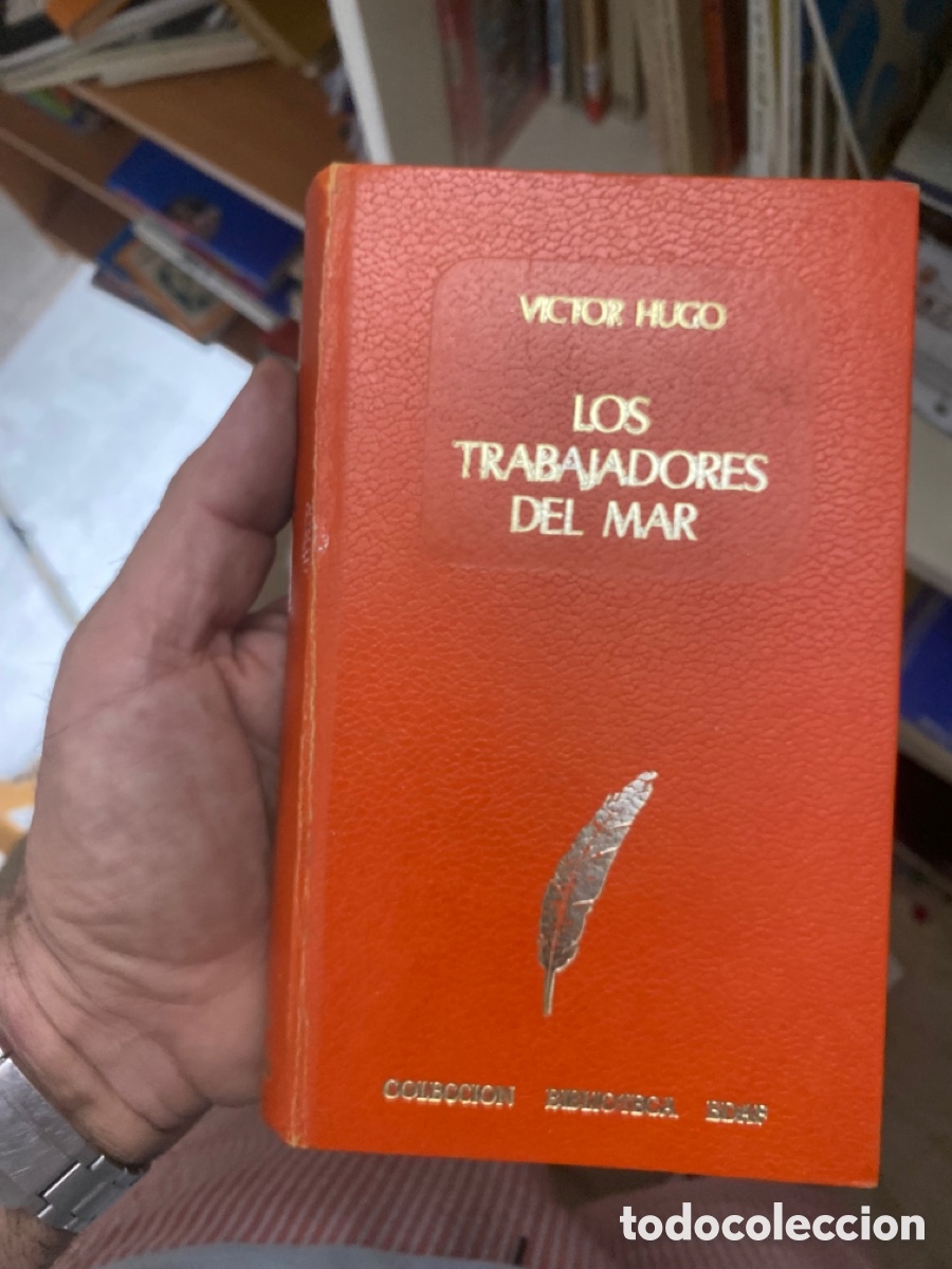 Libros: Los trabajadores del Mar . V&iacute;ctor Hugo - Foto 1