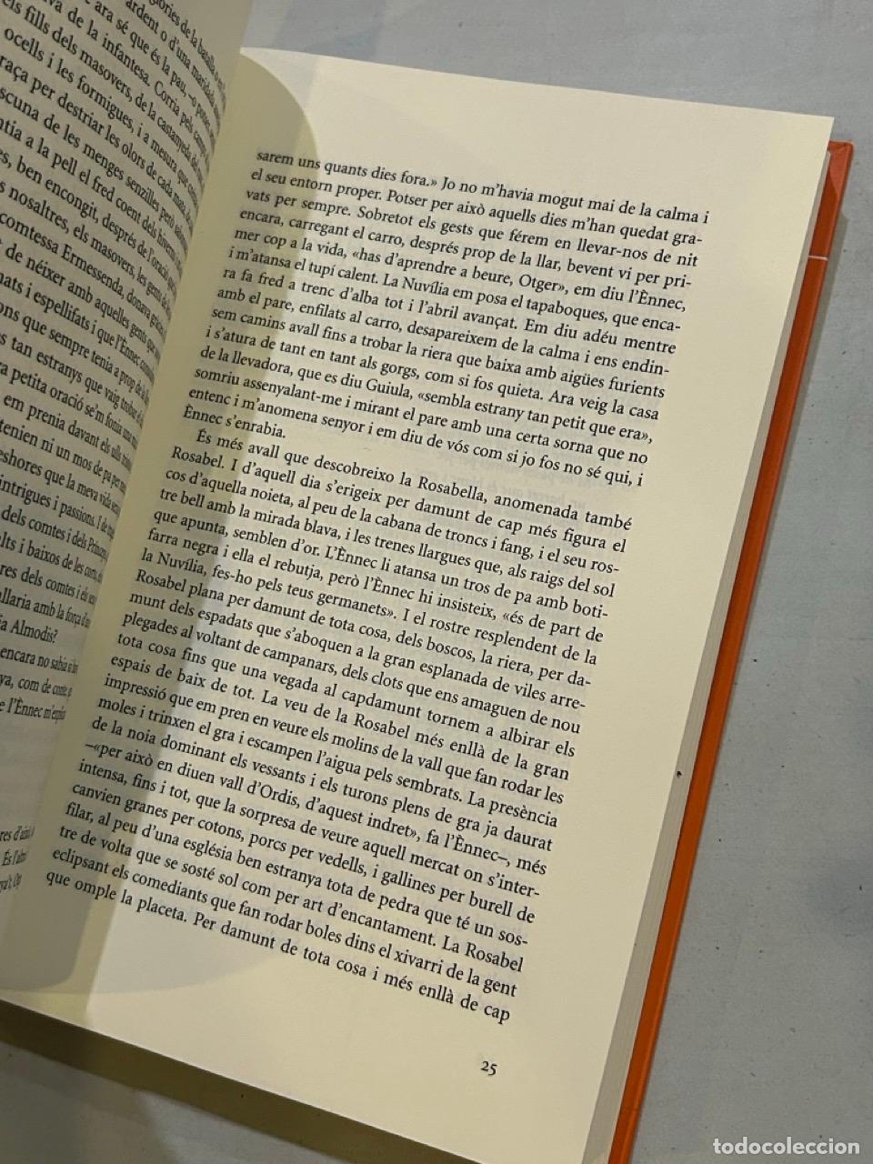 Libros: Assumpci&oacute; Cantalozella - El falc&oacute; del comte - Foto 2