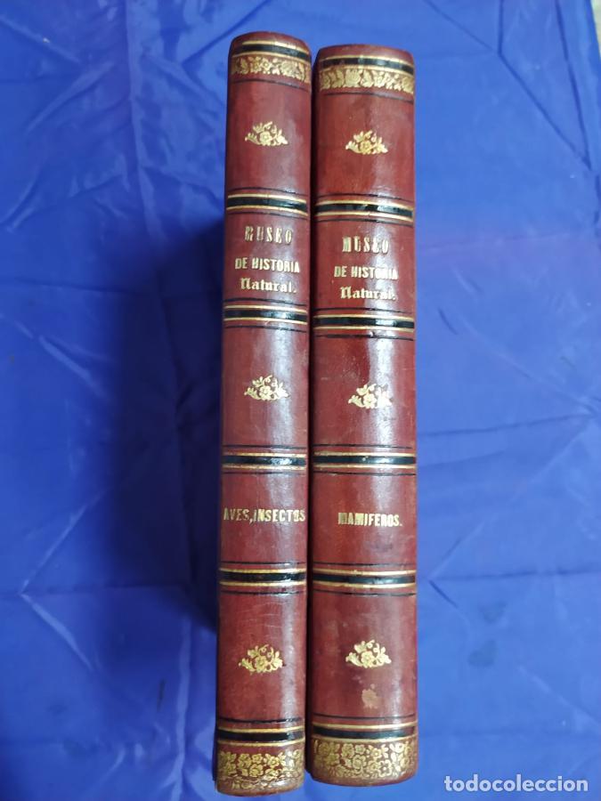 Libros: Museo de Historia natural - Boitard, M. - Foto 2