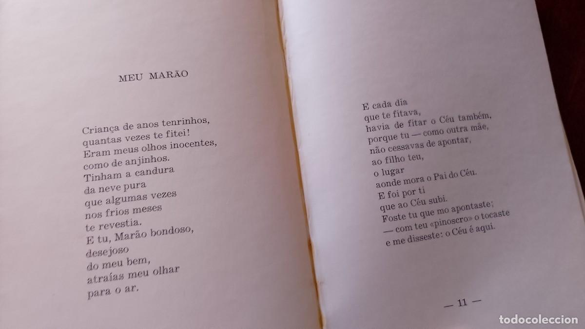 Libros: Flores do Monte 1959 Ant&oacute;nio da Eira 1&ordf; Edi&ccedil;&atilde;o - Foto 3