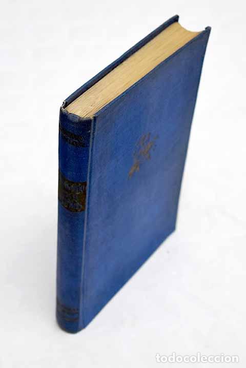 Libros: Cabalgando sobre el arcoiris.- Taylor, Rosemary - Foto 1