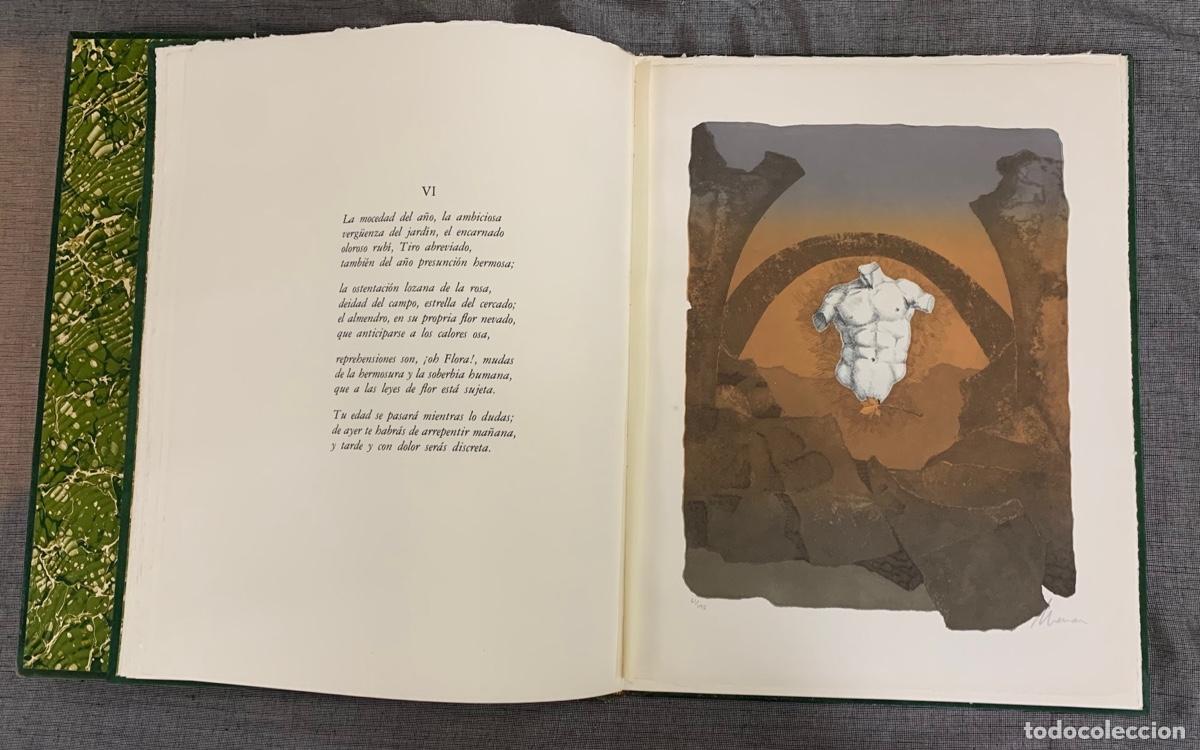 Libros: Sonetos amorosos - Quevedo, Francisco de - Foto 3