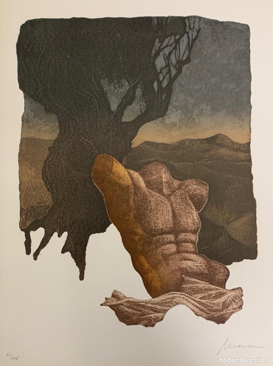Libros: Sonetos amorosos - Quevedo, Francisco de - Foto 6