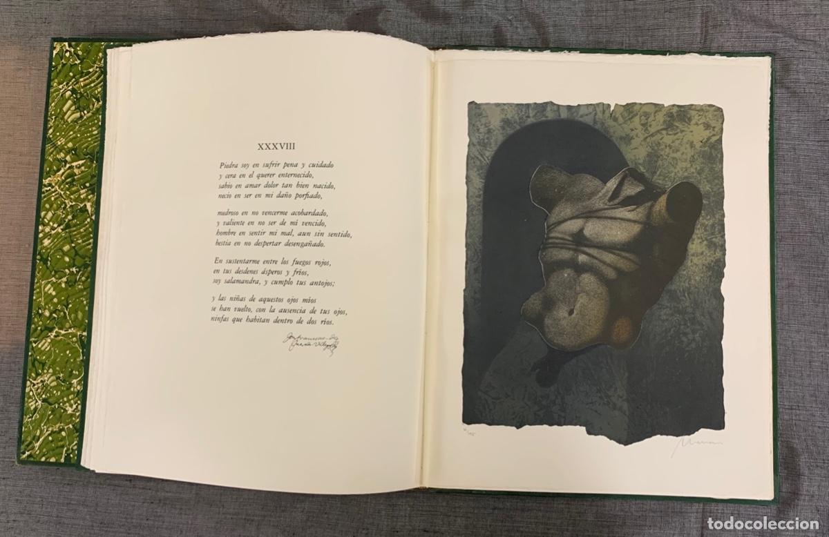 Libros: Sonetos amorosos - Quevedo, Francisco de - Foto 9