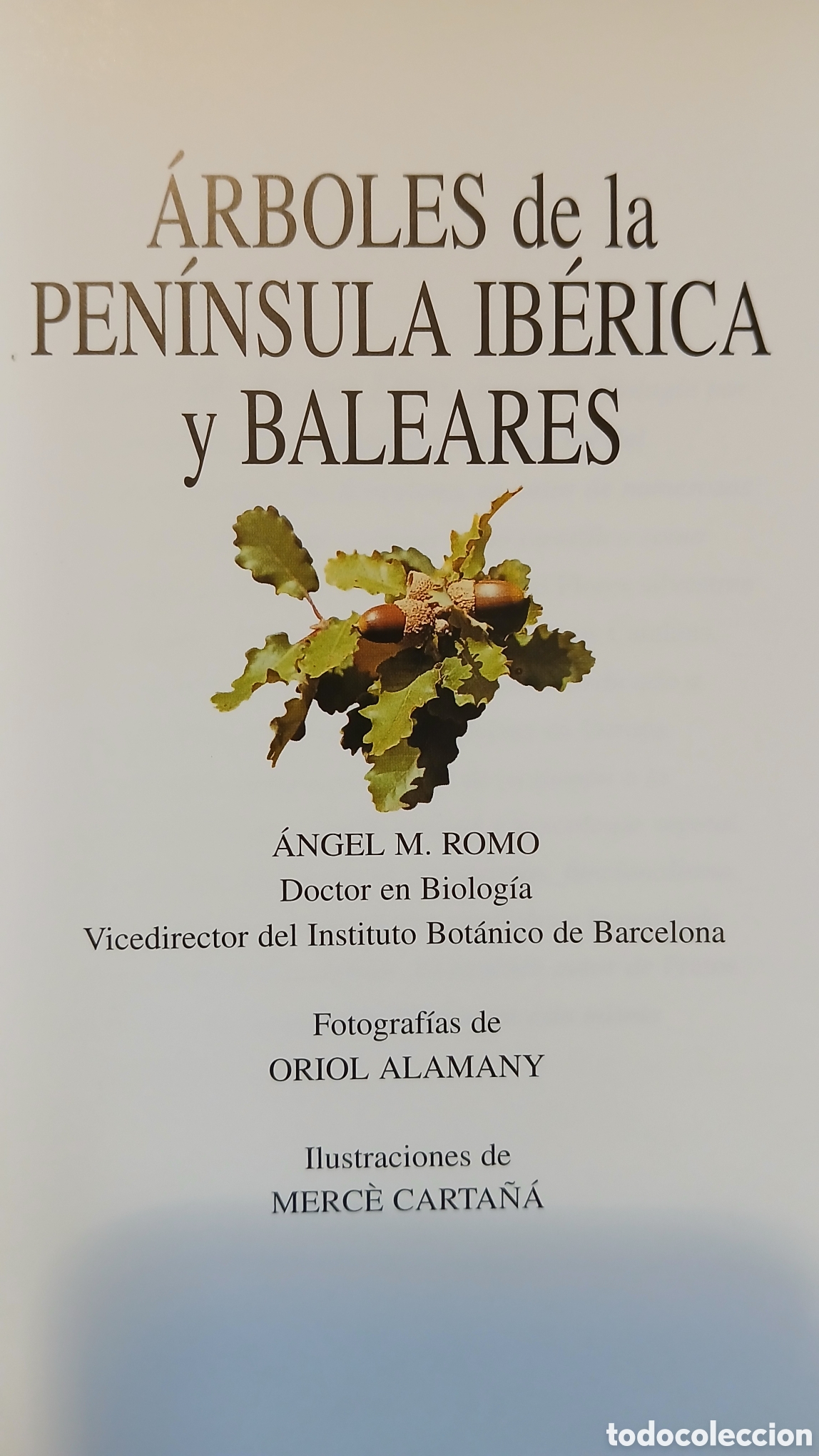 Libros: Arboles de la peninsula iberica - Foto 2