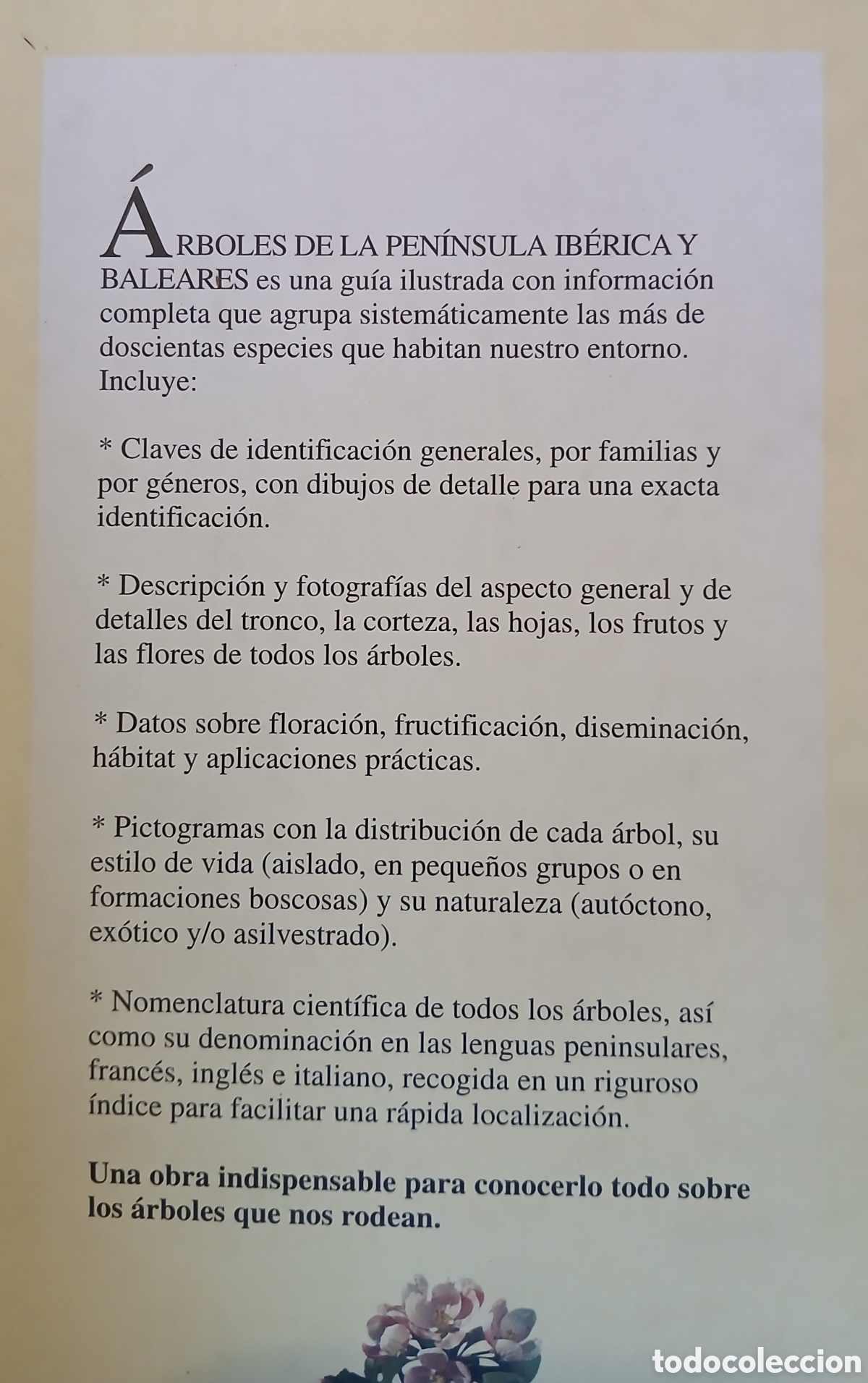 Libros: Arboles de la peninsula iberica - Foto 3
