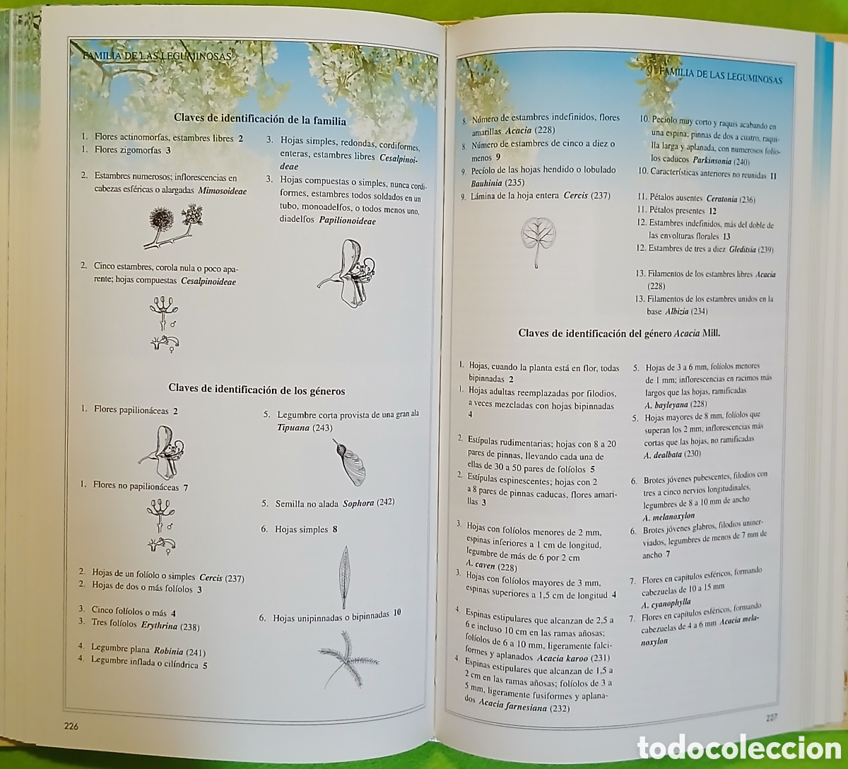 Libros: Arboles de la peninsula iberica - Foto 6