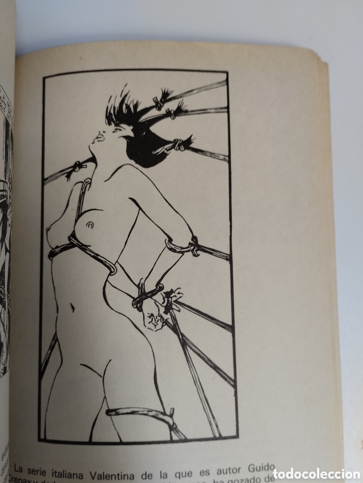 Libros: El Comic erotico. Tropos. - Foto 7