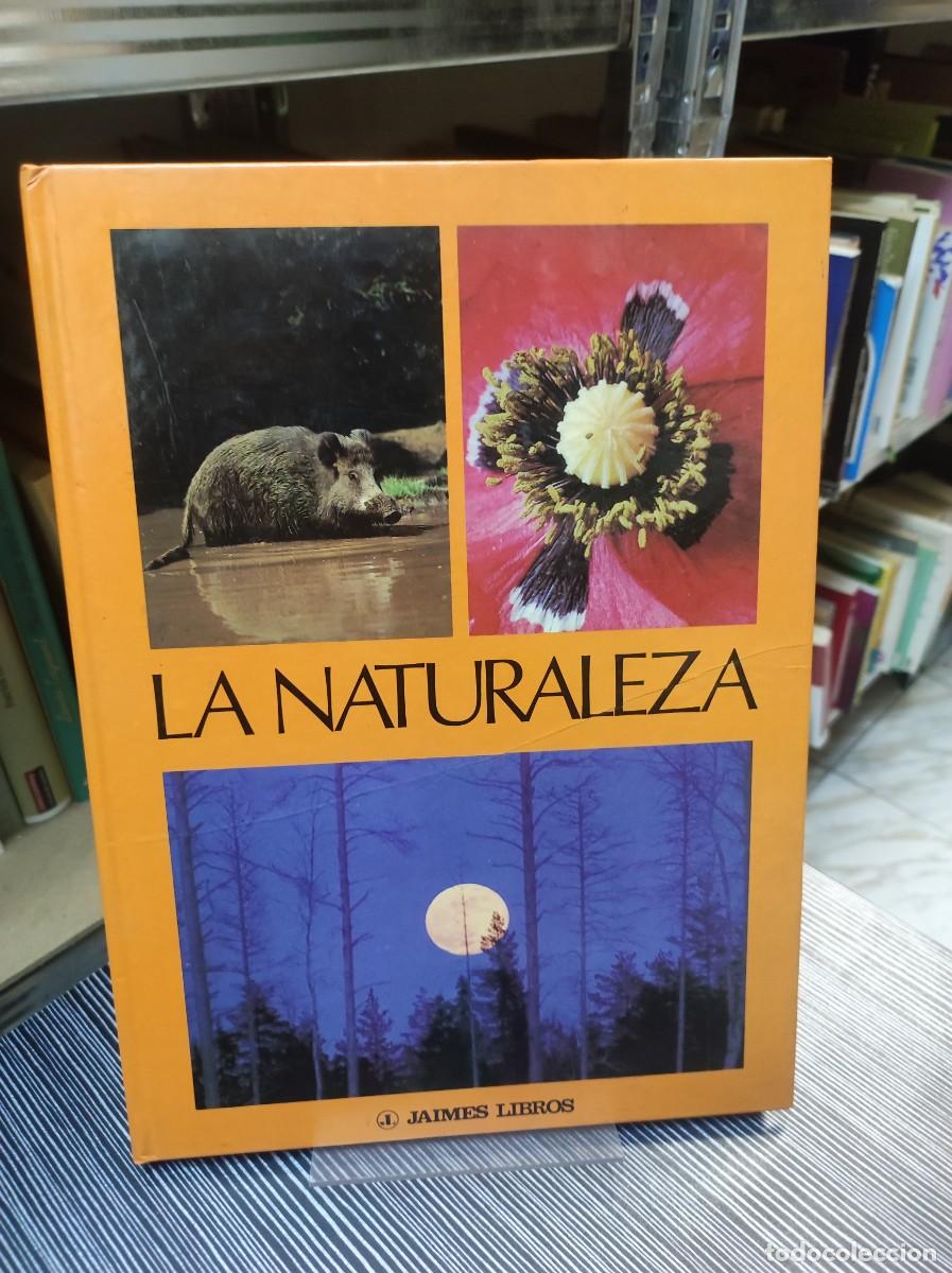Libros: MAX A. WYSS - LA NATURALEZA - JAIMES LIBROS - Foto 1