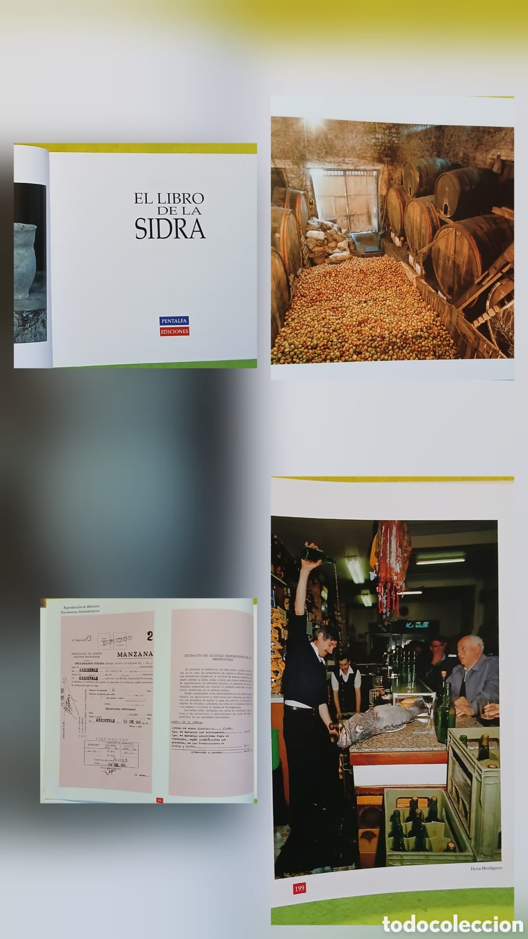 Libros: El libro de la Sidra - Foto 3