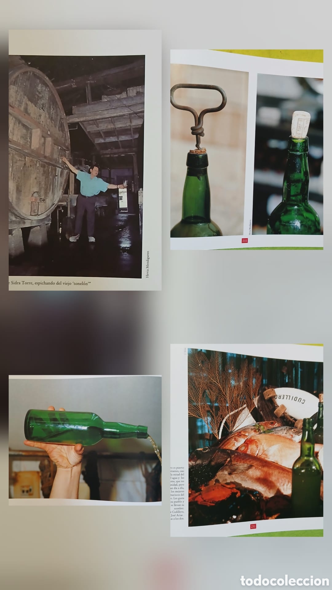 Libros: El libro de la Sidra - Foto 4