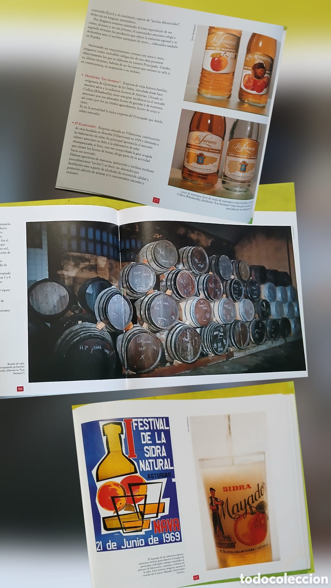 Libros: El libro de la Sidra - Foto 6