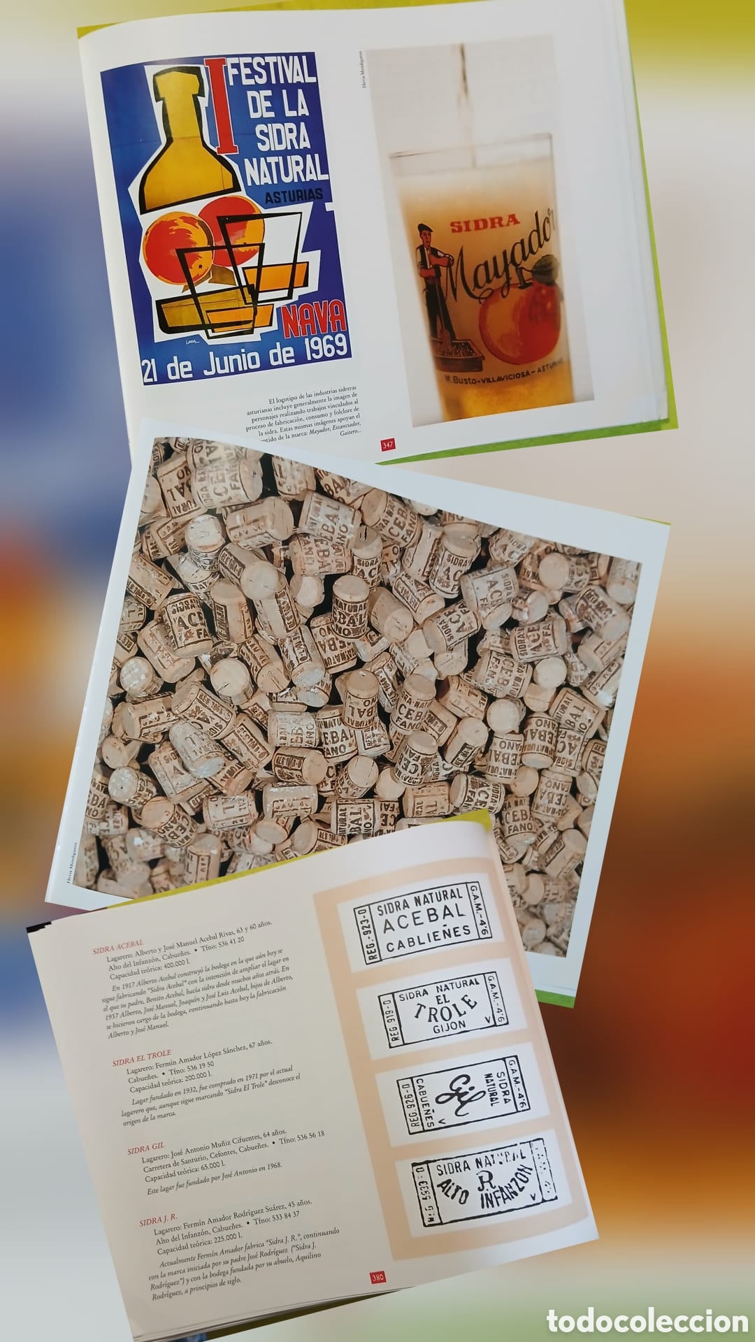 Libros: El libro de la Sidra - Foto 7
