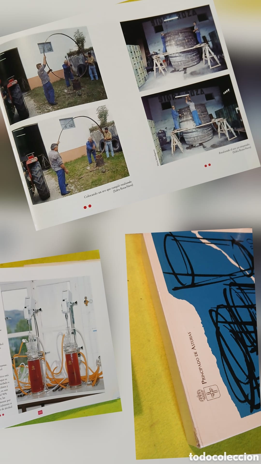 Libros: El libro de la Sidra - Foto 8
