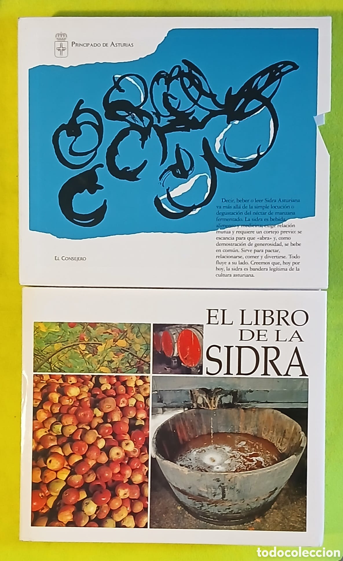 Libros: El libro de la Sidra - Foto 1